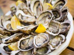 Moules marinières  Fougères